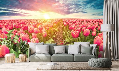 TAPETA VÝCHOD SLUNCE NAD LOUKOU S TULIPÁNY - TAPETY KVĚTINY - TAPETY