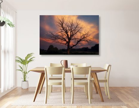 КАРТИНА НА ПЛАТНО – ПРЕКРАСНО ДЪРВО НА ЛИВАДАТА - КАРТИНИ НА ПРИРОДАТА И ПЕЙЗАЖИ - КАРТИНИ