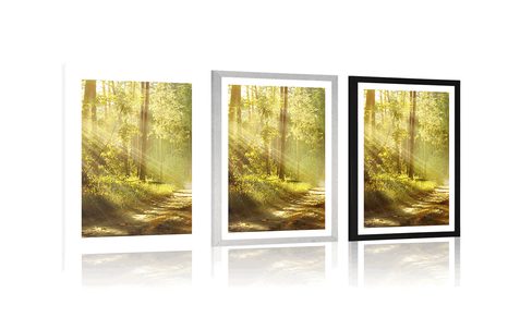 PLAKAT S PASPARTUOM SUNČEVE ZRAKE U ŠUMI - PRIRODA - PLAKATI