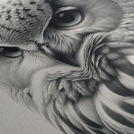 WANDBILD SCHWARZ-WEISSES EULENPORTRÄT - BILDER VON VÖGELN - BILDER