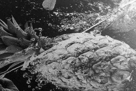 OBRAZ ORGANICKÉ OVOCE A ZELENINA V ČERNOBÍLÉM PROVEDENÍ - ČERNOBÍLÉ OBRAZY - OBRAZY