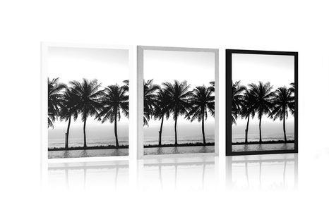 POSTER – TRAMONTO SULLE PALME IN BIANCO E NERO - NERO E BIANCO - POSTER