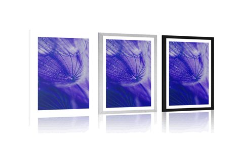 PLAKÁT S PASPARTOU KRÁSNÁ PAMPELIŠKA V FIALOVÉM PROVEDENÍ - KVĚTINY - PLAKÁTY