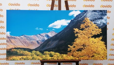 КАРТИНА НА ПЛАТНО – ПРЕКРАСНА ПРИРОДА НА КАМЧАТКА В РУСИЯ - КАРТИНИ НА ПРИРОДАТА И ПЕЙЗАЖИ - КАРТИНИ