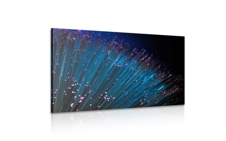 SLIKA OPTIČNA VLAKNA - SLIKE TIHOŽITJE - SLIKE