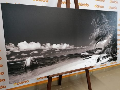 OBRAZ PLÁŽ ANSE SOURCE V ČERNOBÍLÉM PROVEDENÍ - ČERNOBÍLÉ OBRAZY - OBRAZY