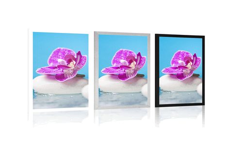 PLAKÁT ORCHIDEJ A ZEN KAMENY - FENG SHUI - PLAKÁTY