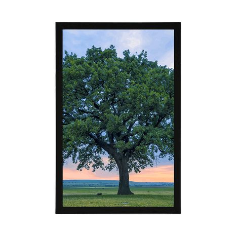 PLAKAT USAMLJENI HRAST - PRIRODA - PLAKATI