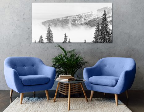 ΕΙΚΌΝΑ ΑΠΌ ΧΙΟΝΙΣΜΈΝΑ ΠΕΎΚΑ ΣΕ ΜΑΎΡΟ & ΆΣΠΡΟ - ΠΊΝΑΚΕΣ ΑΣΠΡΌΜΑΥΡΕΣ - ΠΊΝΑΚΕΣ