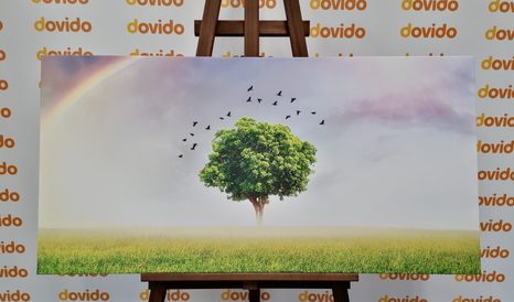 OBRAZ OSAMĚLÝ STROM NA LOUCE - OBRAZY PŘÍRODY A KRAJINY - OBRAZY