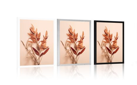 POSTER FRUNZE PEACH FUZZ - BOTANICE - POSTERE