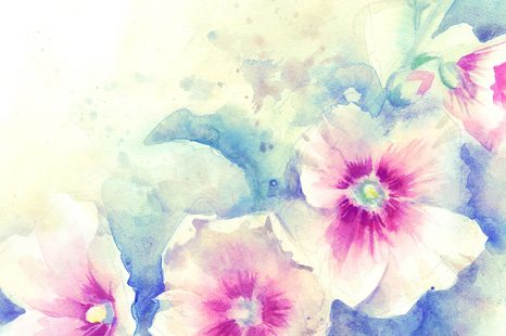 WANDBILD AQUARELLILLUSTRATION VON ROSA BLUMEN - BILDER BLUMEN - BILDER