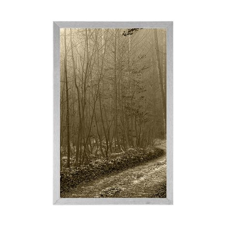 PLAGÁT SÉPIOVÁ CESTIČKA DO LESA - ČIERNOBIELE - PLAGÁTY