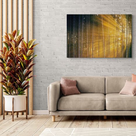 TABLOU SOARELE ÎN SPATELE COPACILOR - TABLOU NATURĂ ȘI PEISAJE NATURALE - TABLOURI