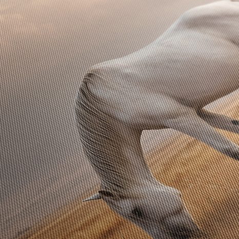 TABLEAU SUR TOILE – CHEVAL PAISIBLE DANS LE PRÉ - TABLEAUX DE CHEVAUX - TABLEAUX