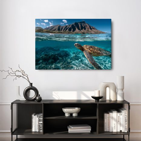 WANDBILD MEERESSCHILDKRÖTE IM OZEAN - WANDBILDER MEERESTIERE - BILDER