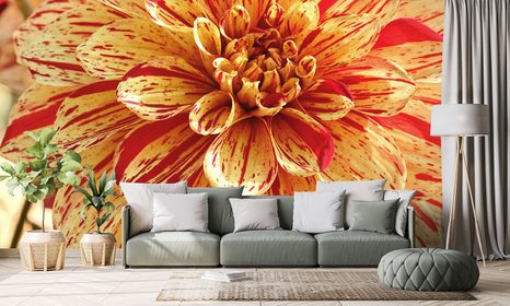 ΑΥΤΟΚΌΛΛΗΤΗ ΤΟΙΧΟΓΡΑΦΊΑ ΕΞΩΤΙΚΉ ΝΤΆΛΙΑ - ΑΥΤΟΚΌΛΛΗΤΕΣ ΤΑΠΕΤΣΑΡΊΕΣ - ΤΑΠΕΤΣΑΡΊΕΣ