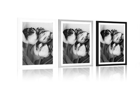 AFFICHE AVEC PASSE-PARTOUT – TULIPES PRINTANIÈRES EN NOIR ET BLANC - NOIR ET BLANC - AFFICHES