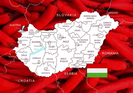 OBRAZ MAPA MAĎARSKA S TYPICKÝM POZADÍM - OBRAZY MAPY - OBRAZY