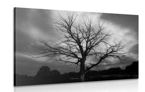 TABLEAU SUR TOILE – ARBRE EN NOIR ET BLANC DANS LE PRÉ - TABLEAUX EN NOIR ET BLANC - TABLEAUX