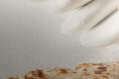 WANDBILD ZEN-STEINE MIT MUSCHELN - BILDER MIT FENG SHUI-MOTIVEN - BILDER