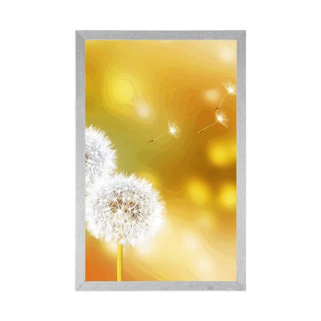 PLAGÁT PÚPAVA - KVETY - PLAGÁTY