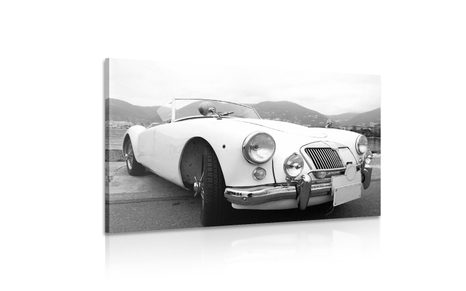 OBRAZ LUXUSNÍ VETERÁN V ČERNOBÍLÉM PROVEDENÍ - ČERNOBÍLÉ OBRAZY - OBRAZY