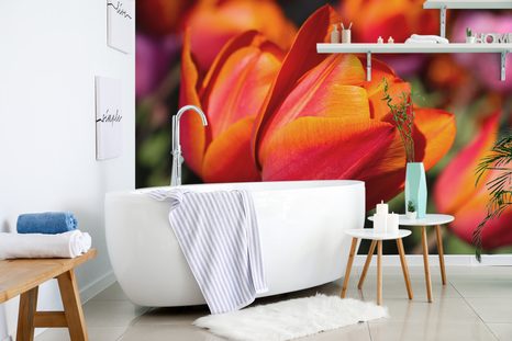 SAMOLEPÍCÍ FOTOTAPETA NÁDHERNÉ TULIPÁNY NA LOUCE - SAMOLEPÍCÍ TAPETY - TAPETY