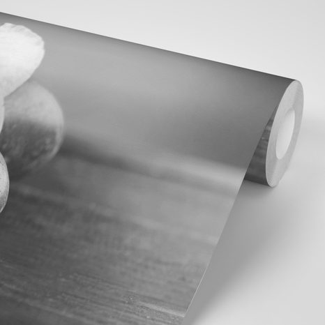 SAMOLEPÍCÍ FOTOTAPETA ČERNOBÍLÁ ORCHIDEJ A KAMENY - SAMOLEPÍCÍ TAPETY - TAPETY