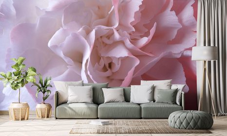 FOTOTAPETA LUPÍNKY KARAFIÁTU - TAPETY KVĚTINY - TAPETY