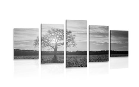 5-PIECE CANVAS PRINT LONELY TREE IN BLACK AND WHITE - BLACK AND WHITE PICTURES - PICTURES