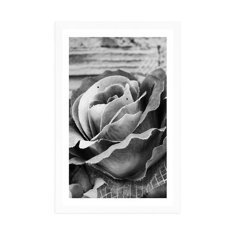 POSTER – ROSA VINTAGE ELEGANTE IN BIANCO E NERO - NERO E BIANCO - POSTER
