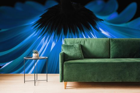 FOTOTAPETA MODRÁ GERBERA - TAPETY KVĚTINY - TAPETY