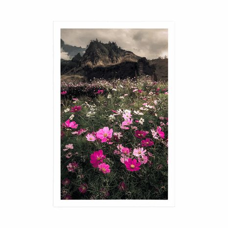 POSTER MEADOW OF BLOOMING FLOWERS - NATURE - POSTERS
