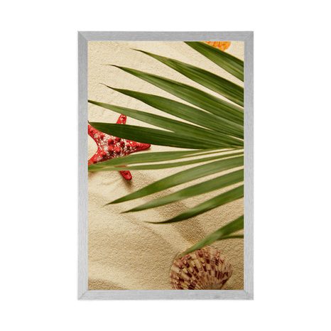 AFFICHE – COQUILLAGES SOUS FEUILLES DE PALMIER - NATURE MORTE - AFFICHES