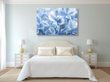 OBRAZ KVĚTINY HORTENZIE V MODROBÍLÉM NÁDECHU - OBRAZY KVĚTŮ - OBRAZY