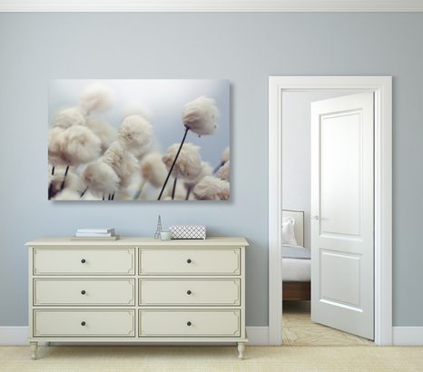 SLIKA ARKTIČNI CVETOVI BOMBAŽA - SLIKE ROŽ - SLIKE