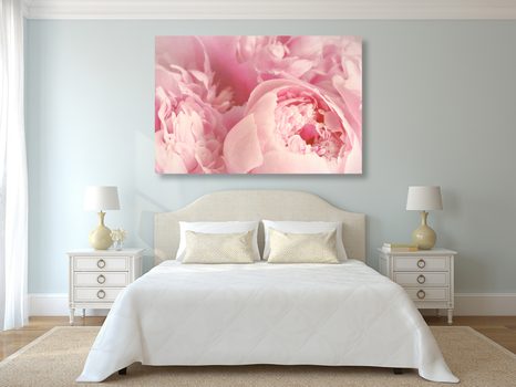 OBRAZ LUPÍNKY KVĚTU - OBRAZY KVĚTŮ - OBRAZY