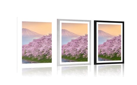 POSTER – SPLENDIDO GIAPPONE - NATURA - POSTER