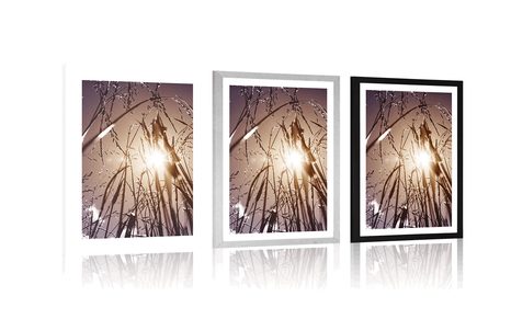 POSTER MIT PASSEPARTOUT FELDGRAS - NATUR - POSTER