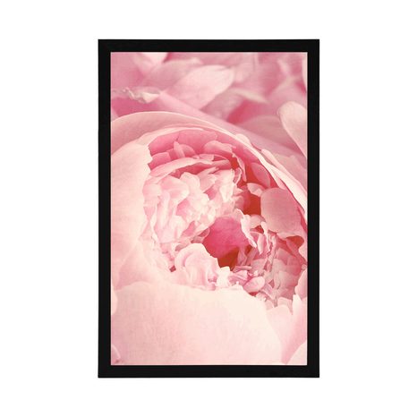 PLAKAT LATICE CVIJETA - CVIJEĆE - PLAKATI