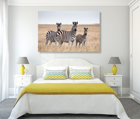 WANDBILD DREI ZEBRAS IN DER SAVANNE - BILDER TIERE - BILDER
