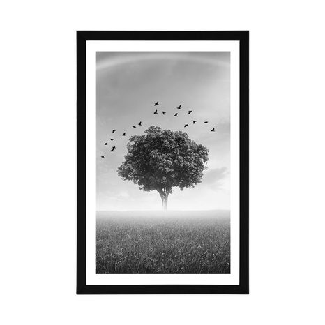 POSTER MIT PASSEPARTOUT ALLEINSTEHENDER BAUM AUF DER WIESE IN SCHWARZ-WEISS - SCHWARZ-WEISS - POSTER