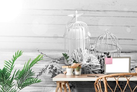 FOTOTAPETA ČERNOBÍLÉ VĚTVIČKY A LUCERNIČKY - ČERNOBÍLÉ TAPETY - TAPETY