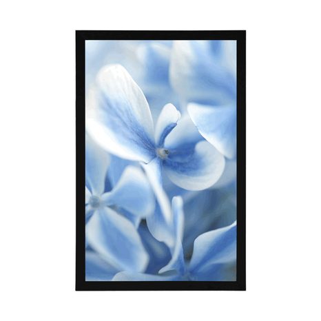 PLAGÁT MODRO-BIELE KVETY HORTENZIE - KVETY - PLAGÁTY