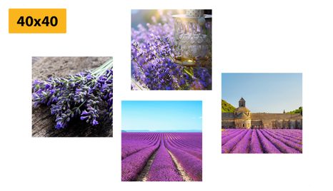 BILDER-SET SCHÖNER LAVENDEL - BILDERSETS - BILDER