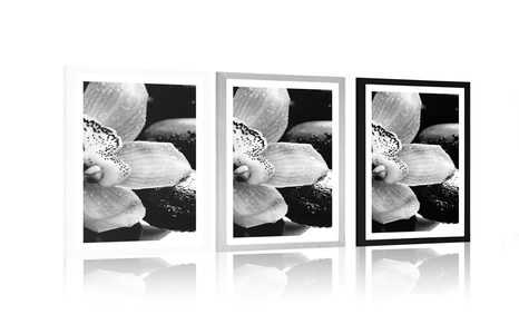 POSTER WITH MOUNT EXOTIC ORCHID IN BLACK AND WHITE - BLACK AND WHITE - POSTERS