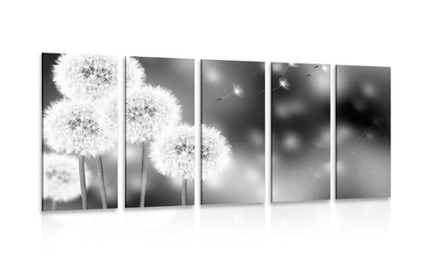 5-PIECE CANVAS PRINT FLUFFY DANDELION IN BLACK AND WHITE - BLACK AND WHITE PICTURES - PICTURES