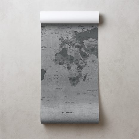 TAPETE WELTKARTE IN GRAU - WELTKARTEN-TAPETEN - TAPETEN