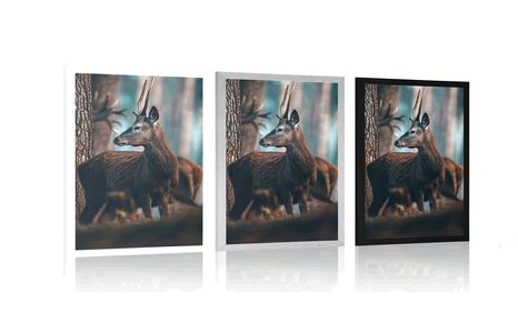 PLAKAT JELEN U BOROVOJ ŠUMI - ŽIVOTINJE - PLAKATI